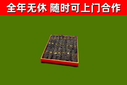 辽源市回收海参